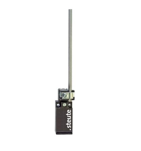 Position switch ES 95 DF IP67 (1NC/1NO) Spring lever